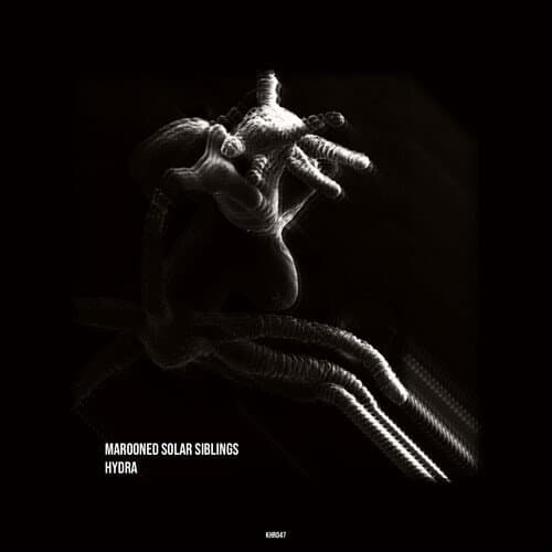 Hydra (Original Mix)