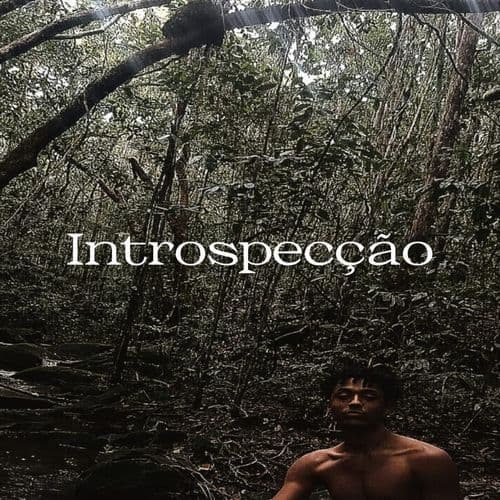 Não olhe pros nossos