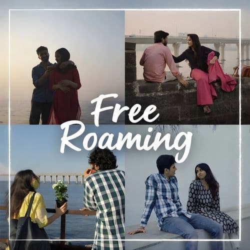 Free Roaming