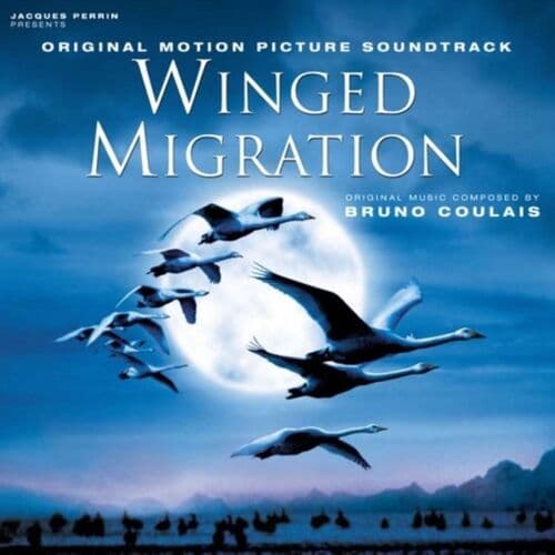 Winged Migration