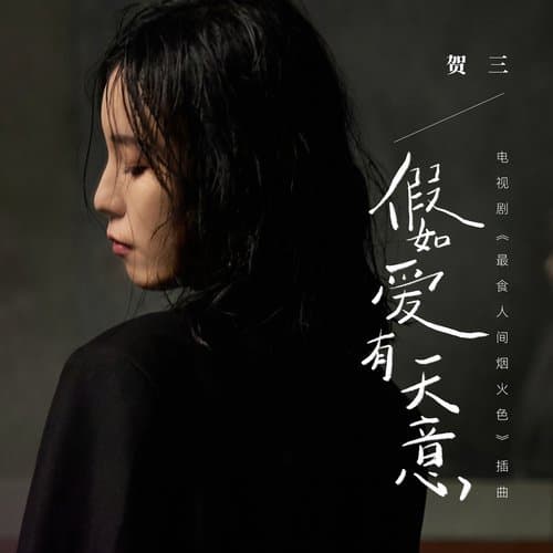 假如爱有天意 (Instrumental)