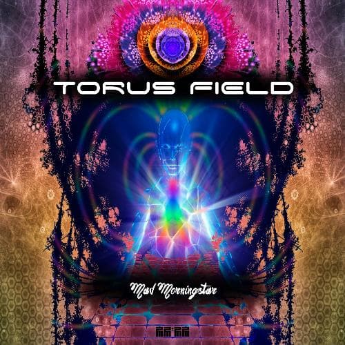 Torus Field