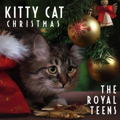 Kitty Cat Christmas
