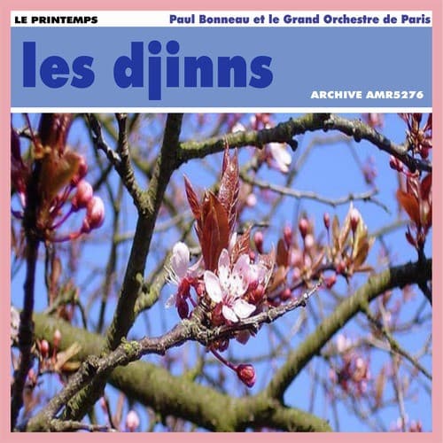 Les Guitares Du Diable