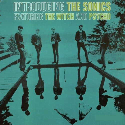 Introducing The Sonics