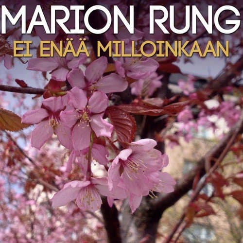 Marion Rung