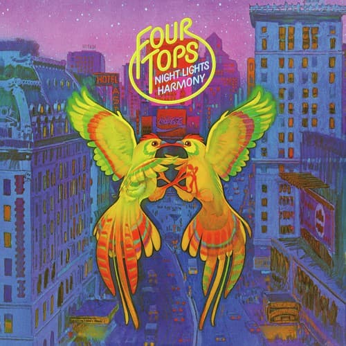 Night Lights Harmony