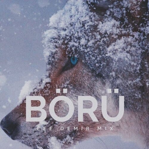 BÖRÜ (Trap Mix)