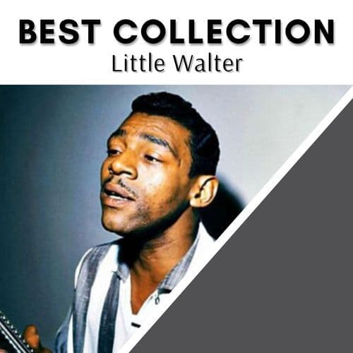 Best Collection Little Walter