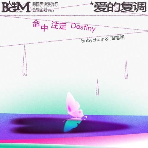 命中注定 (Destiny)