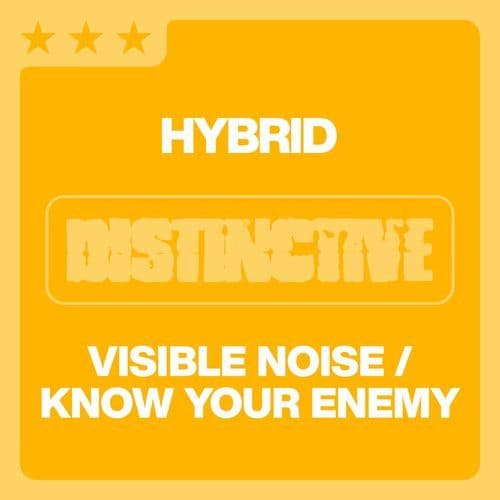 Visible Noise / Know Your Enemy