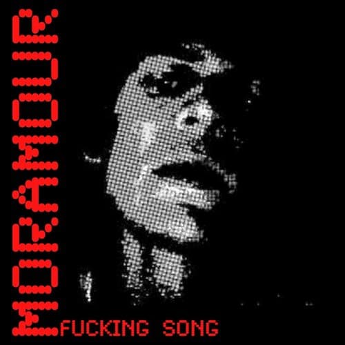 Fucking Song
