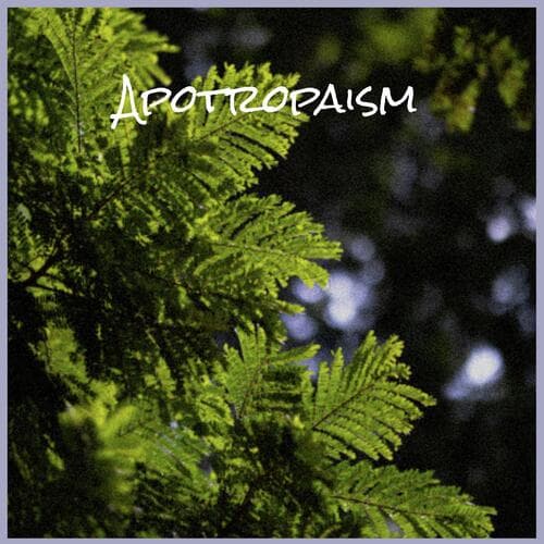 Two-bagger Rocketing