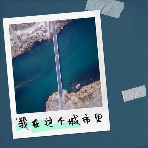 我在这城市里