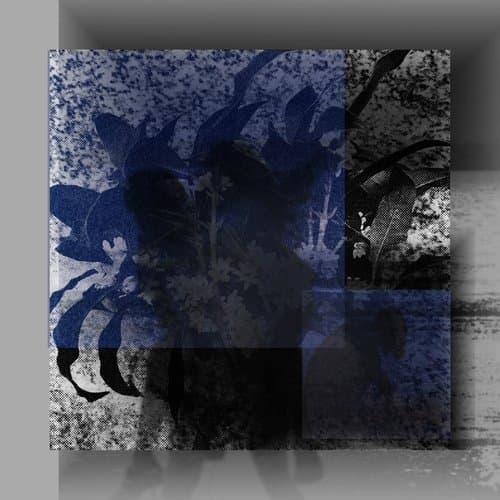 不知名碱的爱人