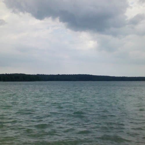 It's a Freak in Me (The Dolphins Remix)