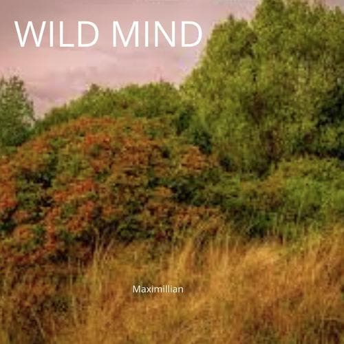 Funk Time (Home Version)