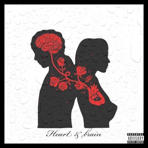 Heart & Brain