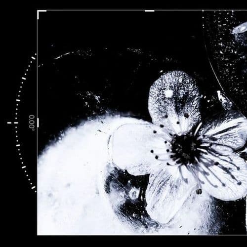 Killer (Slowed) (Slowed)