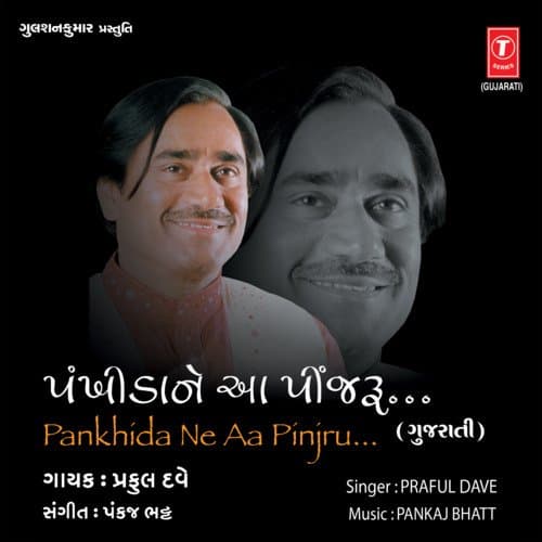 Pankhida Ne Aa Pinjru