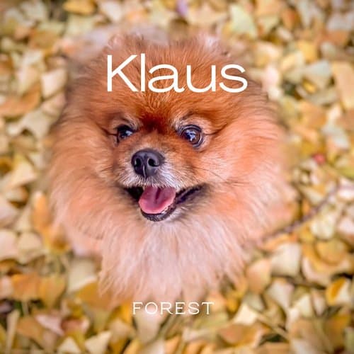 Klaus