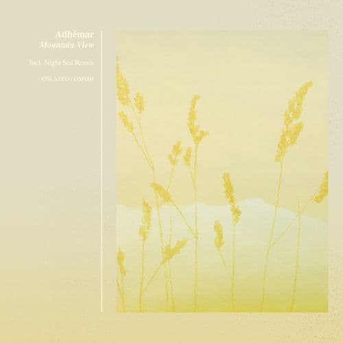 The Oak Tree (Original Mix)