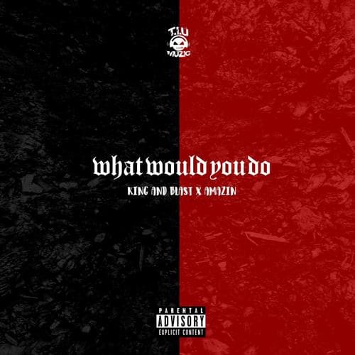 What Would You Do (feat. Amazin)
