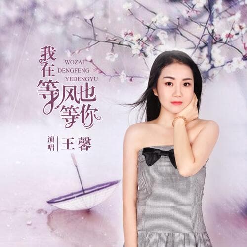 我在等风也等你 (DJ版)