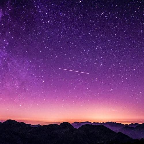 365 Skyline: The Daily Hustle