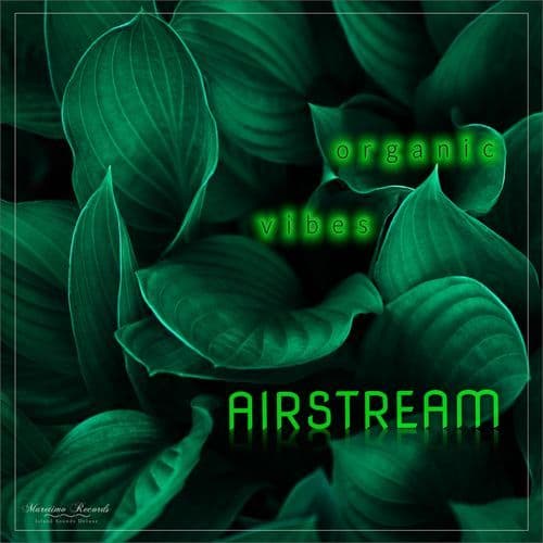 organic vibes (Electrocussion Mix)