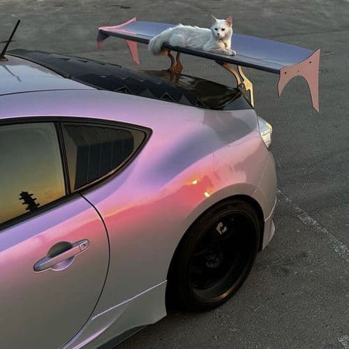 Walk With Your Heart