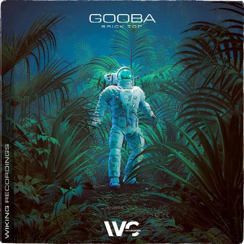 Gooba (Original Mix)