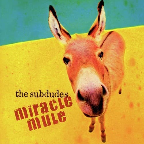 Miracle Mule