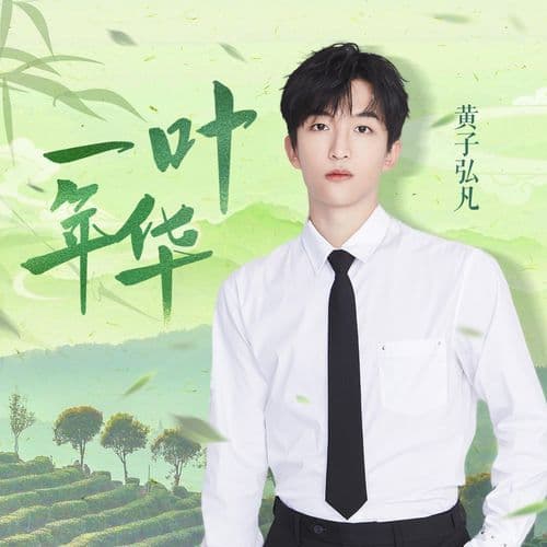 一叶年华 (伴奏版)