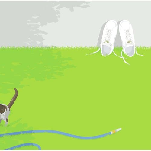 Itsuka Sarabasa Moriyama Naotatou World Tour 2007 Subeteno Yawarakai Monono Tameni Live At Kokusai Forum 3.25