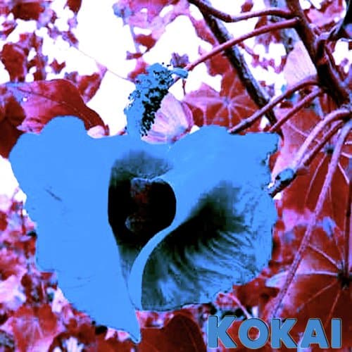 Kokai Flower (Original Mix)