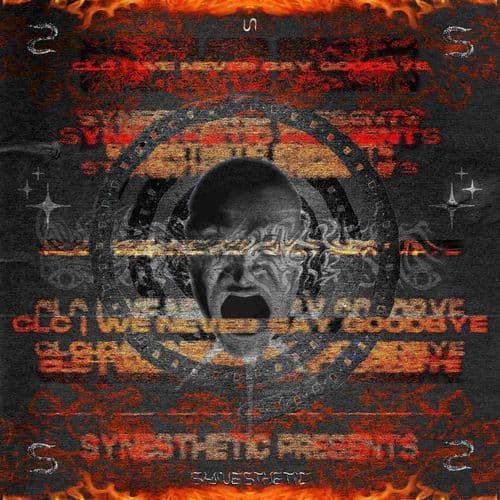 We Never Say Goodbye