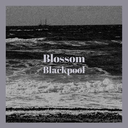 Blissful Neighbourhood