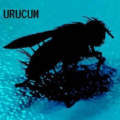 Sur cinque (Quarentena session)