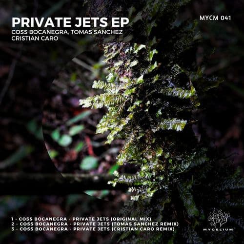 Private Jets ( Tomas Sanchez Remix)