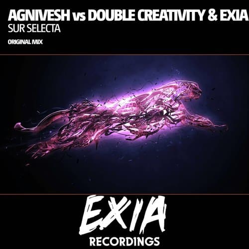 Sur Selecta (Original Mix)