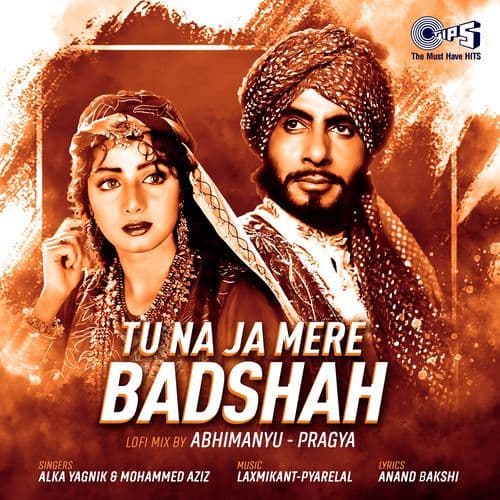 Tu Na Ja Mere Badshah (Lofi Mix)