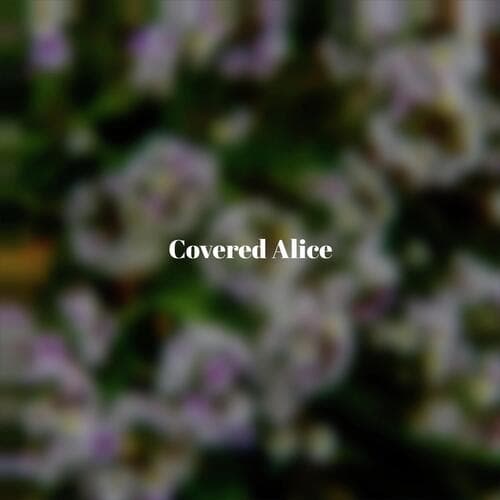 Covered Alice