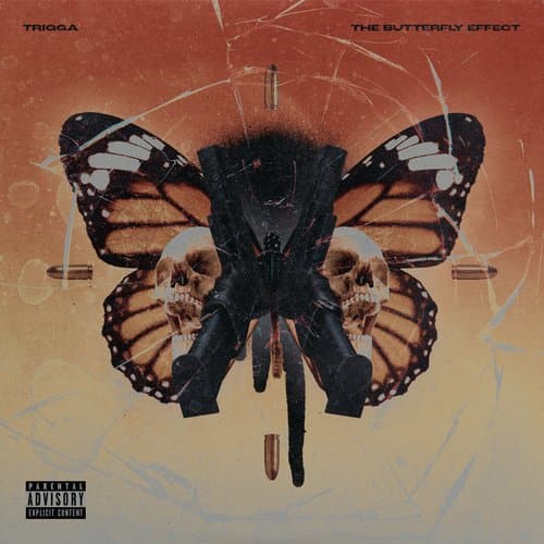 THE BUTTERFLY EFFECT