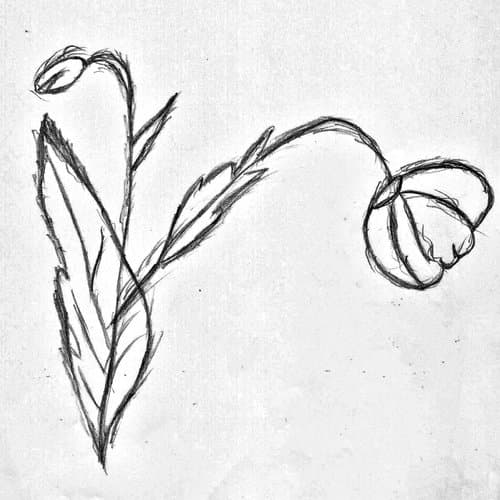 Flutes Cansi (Original Mix)