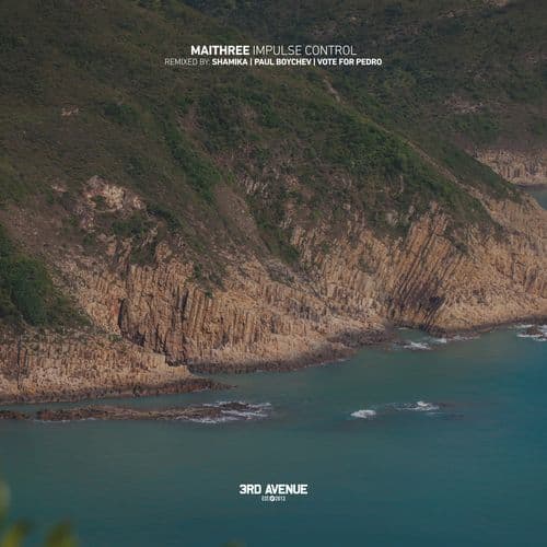 Impulse Control (Paul Boychev Remix)