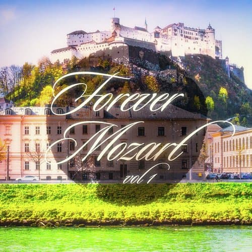 Serenade No. 13 in G " Eine Kleine Nachtmusik": I. Allegro