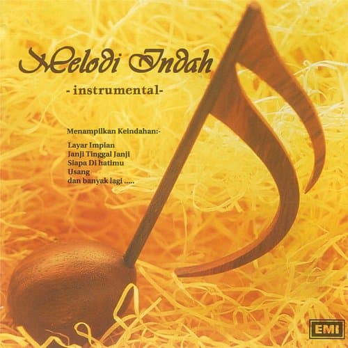 Usang (Gesekan Erhu Eric)