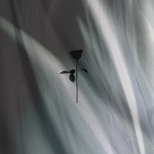 Pyxis (Original Mix)