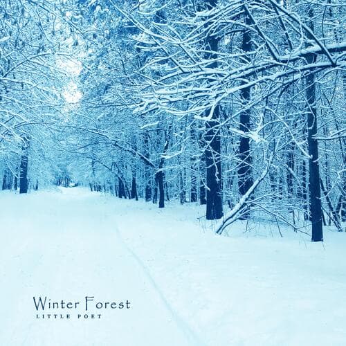 Winter forest